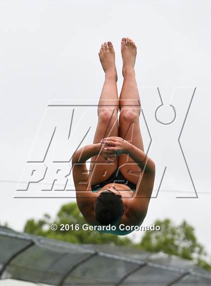 Thumbnail 2 in CIF SJS Boys Diving Finals photogallery.
