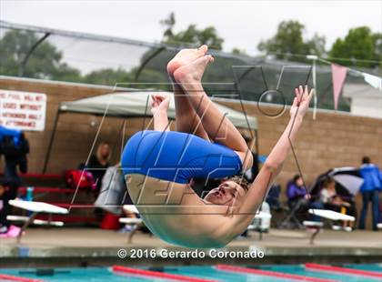 Thumbnail 3 in CIF SJS Boys Diving Finals photogallery.