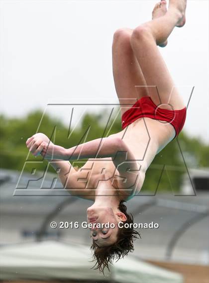 Thumbnail 1 in CIF SJS Boys Diving Finals photogallery.