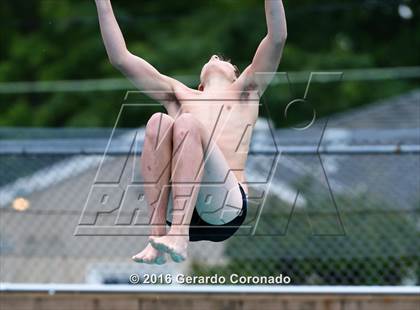 Thumbnail 2 in CIF SJS Boys Diving Finals photogallery.