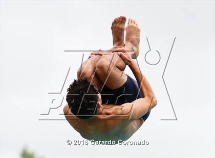 Thumbnail 2 in CIF SJS Boys Diving Finals photogallery.
