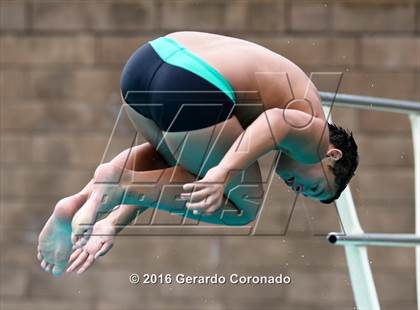 Thumbnail 2 in CIF SJS Boys Diving Finals photogallery.