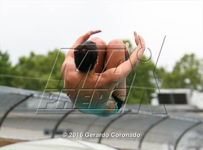 Thumbnail 3 in CIF SJS Boys Diving Finals photogallery.