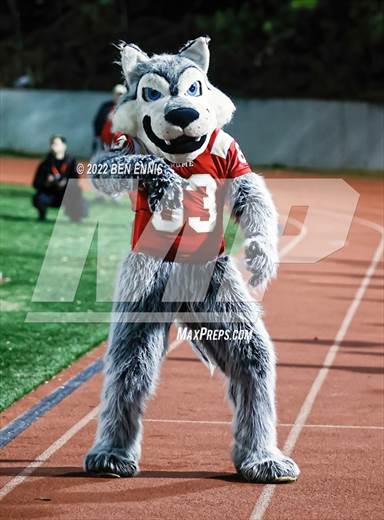 null - Photo 01