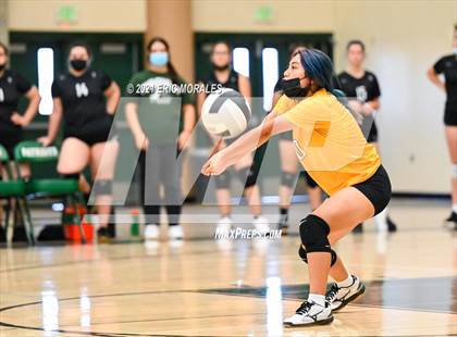 Thumbnail 3 in Reedley @ Hoover photogallery.