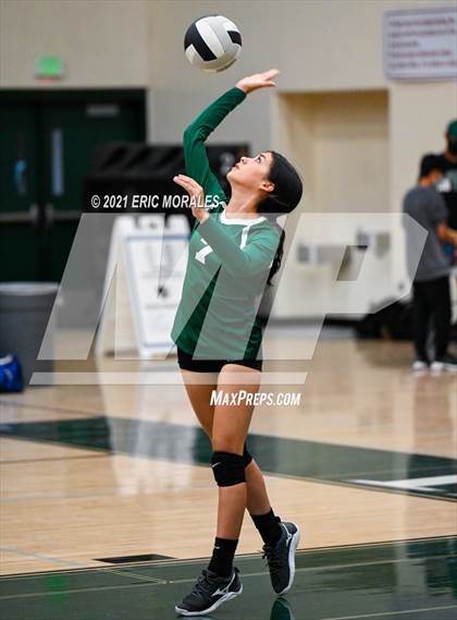 Thumbnail 3 in Reedley @ Hoover photogallery.