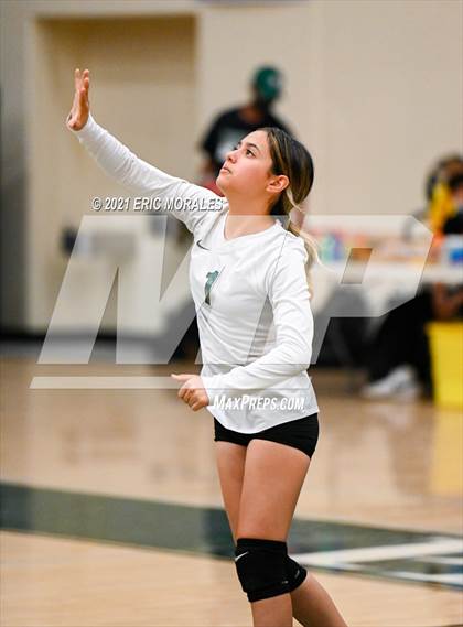 Thumbnail 3 in Reedley @ Hoover photogallery.