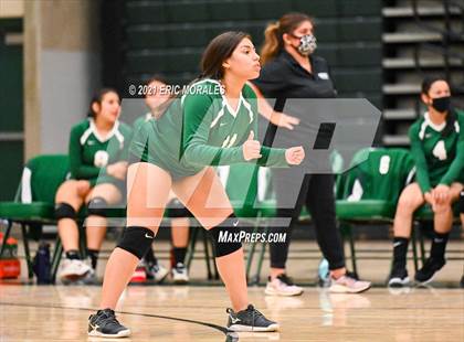 Thumbnail 2 in Reedley @ Hoover photogallery.