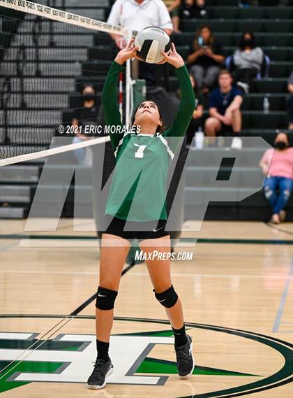 Thumbnail 3 in Reedley @ Hoover photogallery.