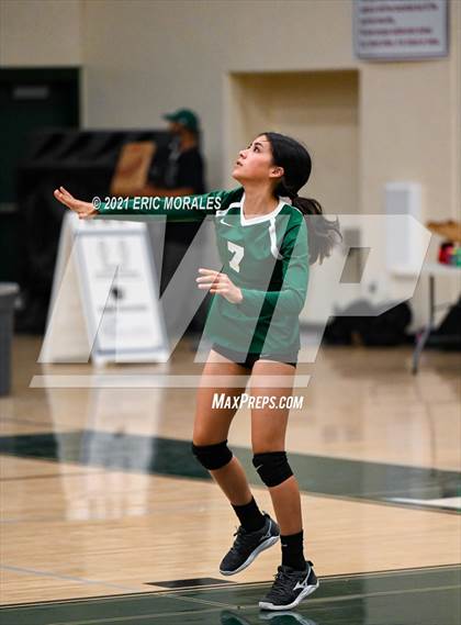 Thumbnail 2 in Reedley @ Hoover photogallery.