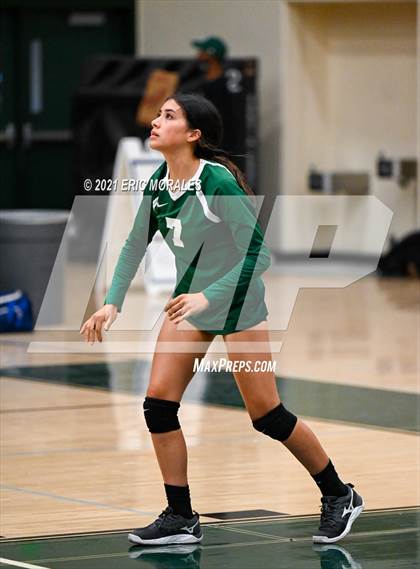 Thumbnail 3 in Reedley @ Hoover photogallery.