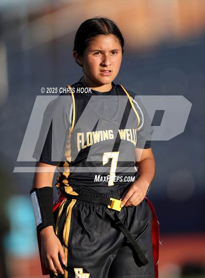 Thumbnail 3 in Rio Rico @ Flowing Wells photogallery.