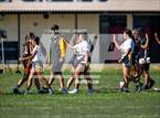 Photo from the gallery "Sunny Hills @ Troy"