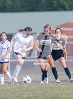 Photo from the gallery "Cape Fear @ Gray's Creek"