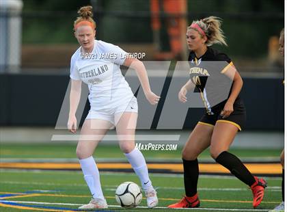 Thumbnail 3 in Pittsford @ Greece Athena photogallery.