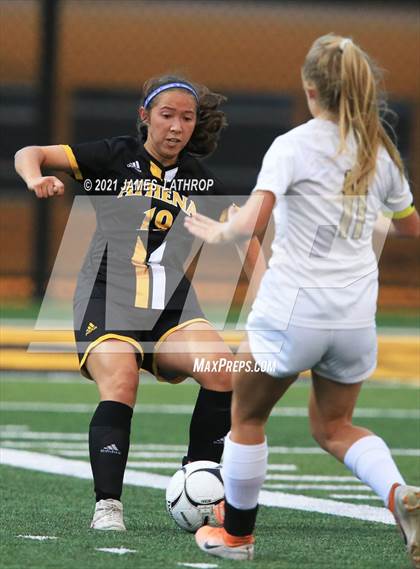 Thumbnail 3 in Pittsford @ Greece Athena photogallery.
