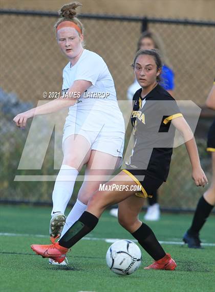 Thumbnail 3 in Pittsford @ Greece Athena photogallery.