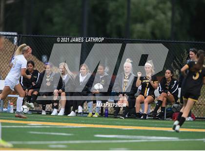 Thumbnail 2 in Pittsford @ Greece Athena photogallery.