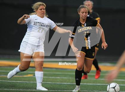 Thumbnail 2 in Pittsford @ Greece Athena photogallery.
