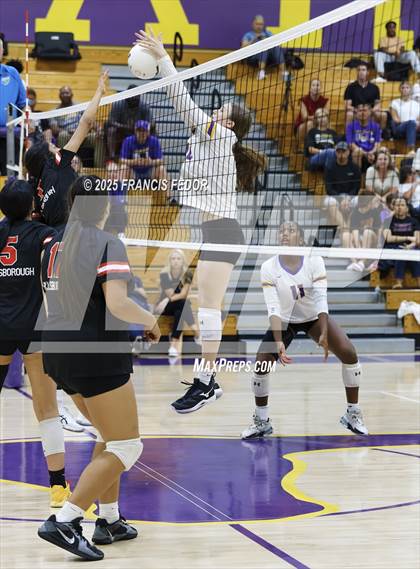 Thumbnail 2 in Hillsborough @ Lennard photogallery.