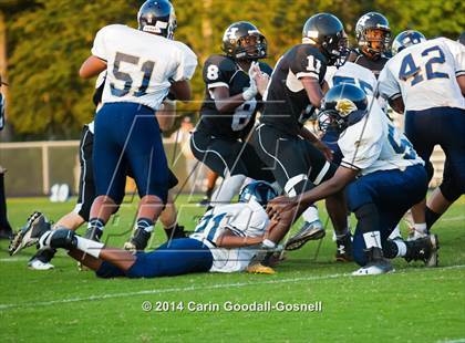 Thumbnail 2 in JV: Northside @ Havelock photogallery.