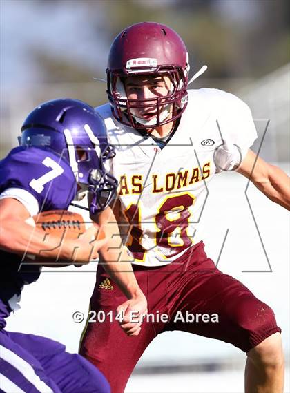 Thumbnail 2 in Las Lomas @ College Park photogallery.