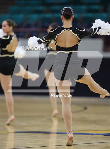 Thumbnail 2 in Rock Canyon (CHSAA 5A State Spirit Championships) photogallery.
