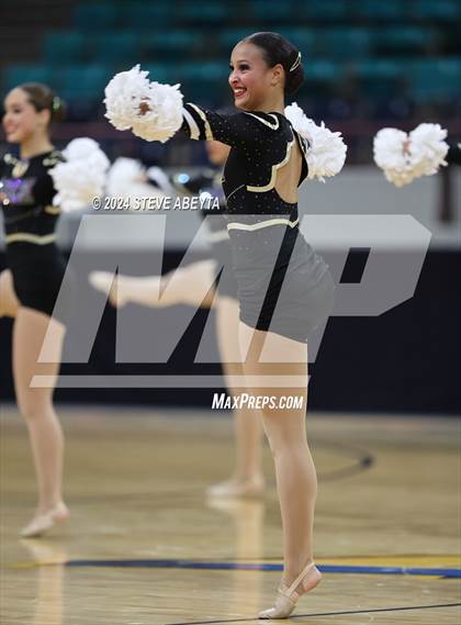 Thumbnail 2 in Rock Canyon (CHSAA 5A State Spirit Championships) photogallery.