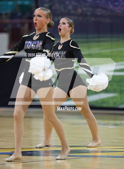 Thumbnail 3 in Rock Canyon (CHSAA 5A State Spirit Championships) photogallery.