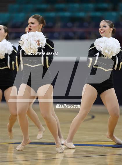 Thumbnail 1 in Rock Canyon (CHSAA 5A State Spirit Championships) photogallery.