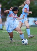 Photo from the gallery "Cuthbertson @ Piedmont"