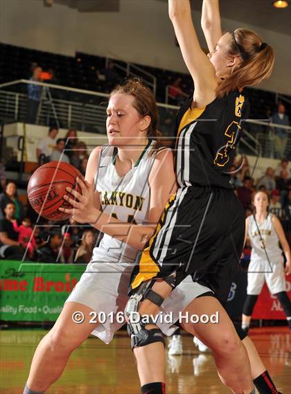Thumbnail 3 in Canyon vs. Newbury Park (CIF SS 2AA Final) photogallery.