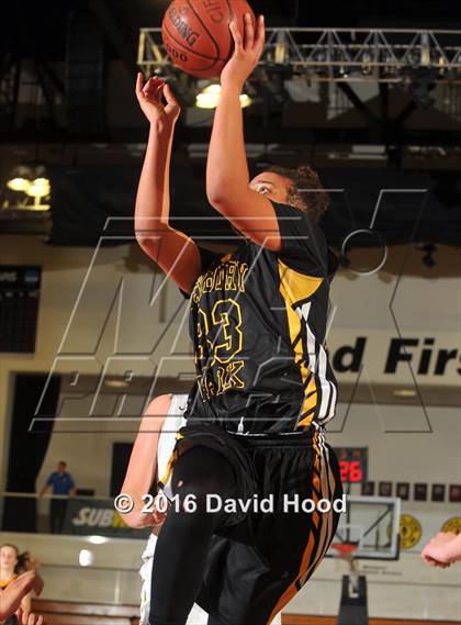 Thumbnail 3 in Canyon vs. Newbury Park (CIF SS 2AA Final) photogallery.