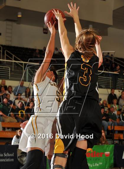 Thumbnail 2 in Canyon vs. Newbury Park (CIF SS 2AA Final) photogallery.