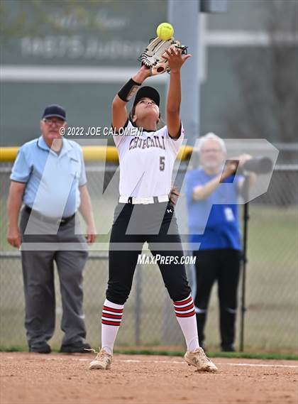 Thumbnail 3 in Churchill vs Madison photogallery.