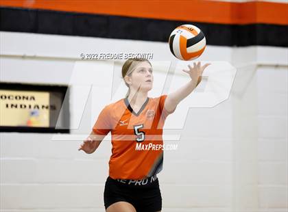 Thumbnail 2 in Petrolia vs. Jacksboro (Nocona Tournament) photogallery.
