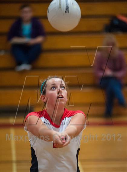 Thumbnail 2 in Fermi @ Edwin O. Smith photogallery.