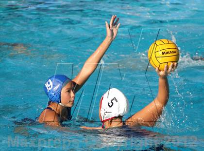 Thumbnail 1 in Campolindo @ Acalanes photogallery.