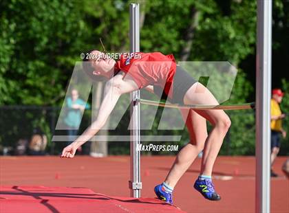 Thumbnail 3 in New Jersey Athletic Conference Meet (High Jump) photogallery.