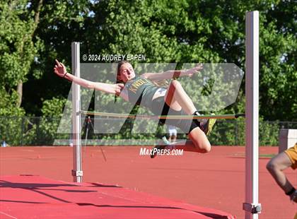 Thumbnail 3 in New Jersey Athletic Conference Meet (High Jump) photogallery.