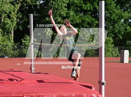 Thumbnail 3 in New Jersey Athletic Conference Meet (High Jump) photogallery.