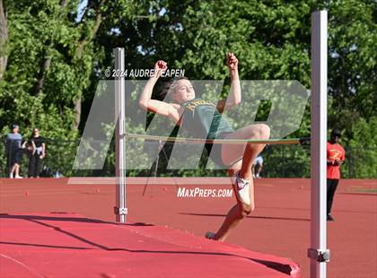 Thumbnail 3 in New Jersey Athletic Conference Meet (High Jump) photogallery.