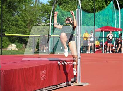 Thumbnail 3 in New Jersey Athletic Conference Meet (High Jump) photogallery.