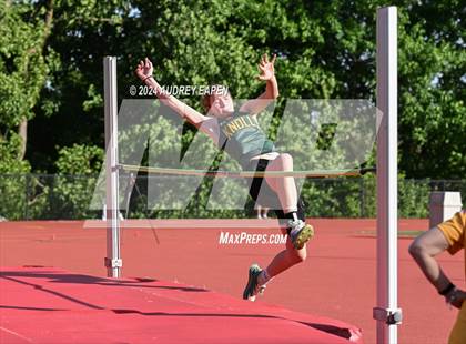 Thumbnail 1 in New Jersey Athletic Conference Meet (High Jump) photogallery.