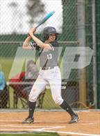 Photo from the gallery "Olive Branch @ Lake Cormorant"