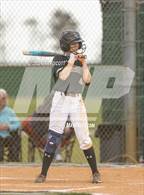 Photo from the gallery "Olive Branch @ Lake Cormorant"