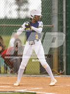 Photo from the gallery "Olive Branch @ Lake Cormorant"