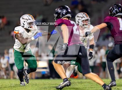 Thumbnail 3 in Mosley @ Navarre photogallery.