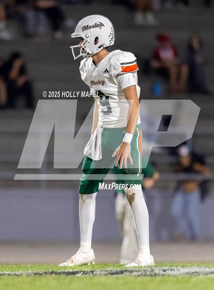 Thumbnail 1 in Mosley @ Navarre photogallery.