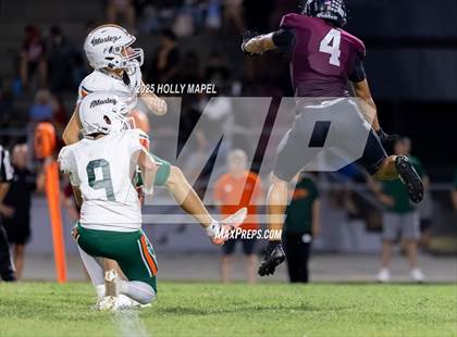 Thumbnail 1 in Mosley @ Navarre photogallery.
